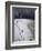 Jumping Above the Borax Deposits on Borders of Laguna Colorado, Bolivia, South America-Aaron McCoy-Framed Photographic Print