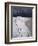 Jumping Above the Borax Deposits on Borders of Laguna Colorado, Bolivia, South America-Aaron McCoy-Framed Photographic Print