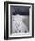 Jumping Above the Borax Deposits on Borders of Laguna Colorado, Bolivia, South America-Aaron McCoy-Framed Photographic Print