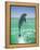 Jumping Bottlenose Dolphin-Stuart Westmorland-Framed Premier Image Canvas