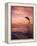 Jumping Bottlenose Dolphin-Stuart Westmorland-Framed Premier Image Canvas