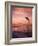 Jumping Bottlenose Dolphin-Stuart Westmorland-Framed Photographic Print