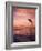 Jumping Bottlenose Dolphin-Stuart Westmorland-Framed Photographic Print