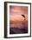 Jumping Bottlenose Dolphin-Stuart Westmorland-Framed Photographic Print