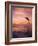 Jumping Bottlenose Dolphin-Stuart Westmorland-Framed Photographic Print