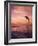 Jumping Bottlenose Dolphin-Stuart Westmorland-Framed Photographic Print