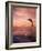 Jumping Bottlenose Dolphin-Stuart Westmorland-Framed Photographic Print