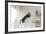 Jumping Cat.-Krzysztof Smejlis-Framed Photographic Print