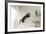 Jumping Cat.-Krzysztof Smejlis-Framed Photographic Print