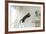 Jumping Cat.-Krzysztof Smejlis-Framed Photographic Print