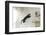 Jumping Cat.-Krzysztof Smejlis-Framed Photographic Print