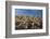 Jumping cholla cacti with Islands beyond, Mexico-Claudio Contreras-Framed Photographic Print