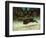 Jumping Deer-Gustave Courbet-Framed Giclee Print