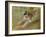 Jumping dog Schlick. 1904-Franz Marc-Framed Giclee Print