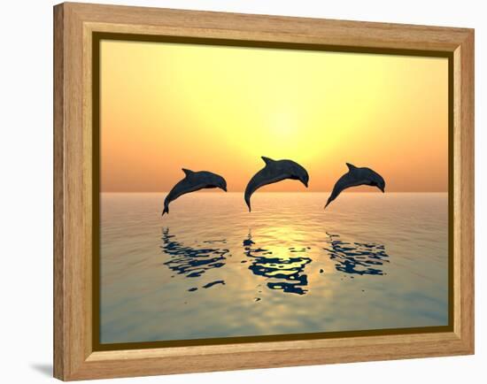 Jumping Dolphins-MIRO3D-Framed Premier Image Canvas