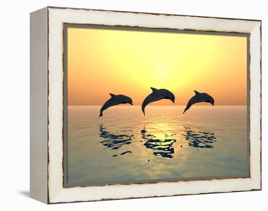 Jumping Dolphins-MIRO3D-Framed Premier Image Canvas