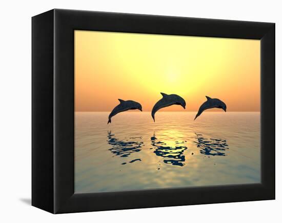 Jumping Dolphins-MIRO3D-Framed Premier Image Canvas