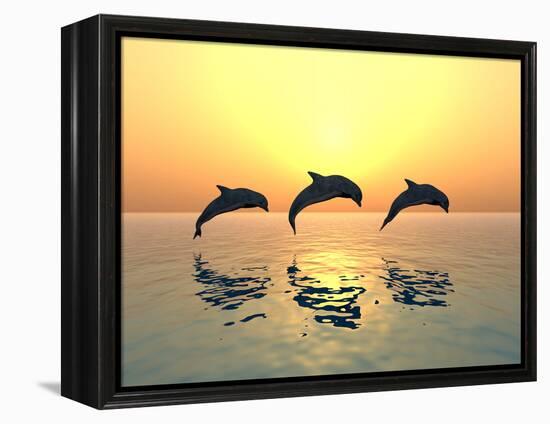 Jumping Dolphins-MIRO3D-Framed Premier Image Canvas