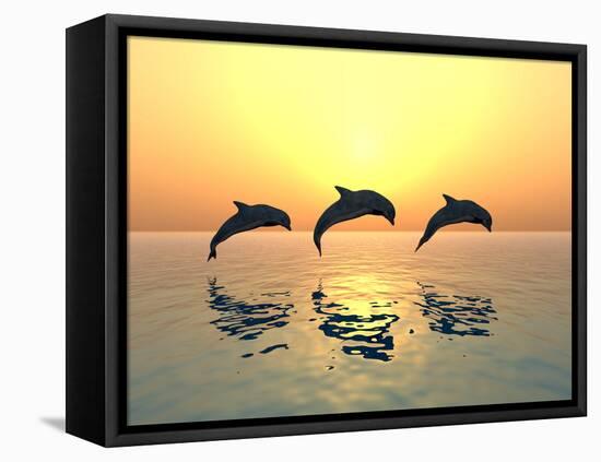 Jumping Dolphins-MIRO3D-Framed Premier Image Canvas
