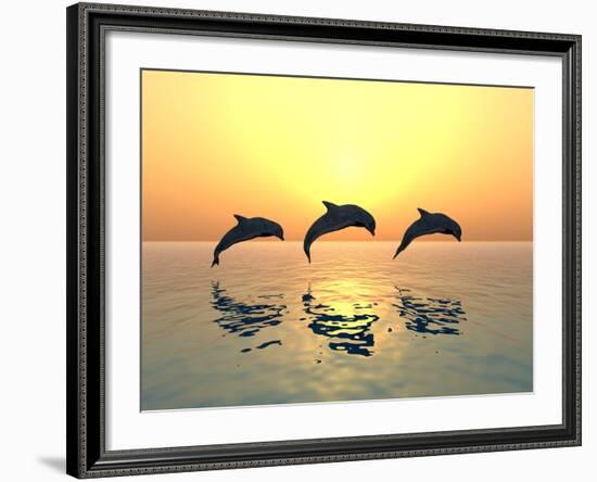 Jumping Dolphins-MIRO3D-Framed Photographic Print