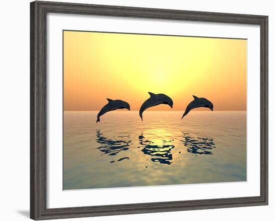 Jumping Dolphins-MIRO3D-Framed Photographic Print