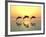 Jumping Dolphins-MIRO3D-Framed Photographic Print