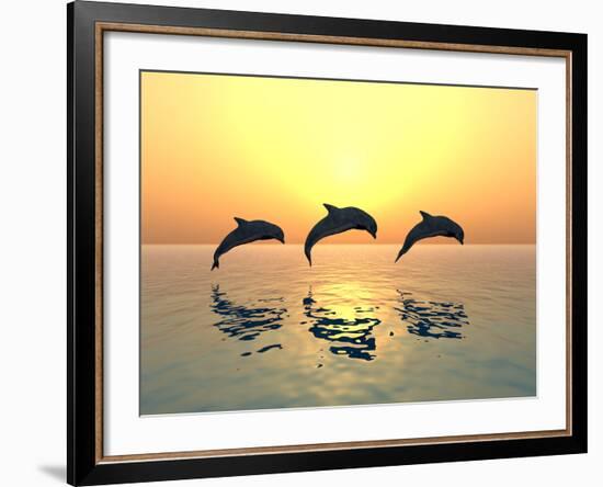 Jumping Dolphins-MIRO3D-Framed Photographic Print