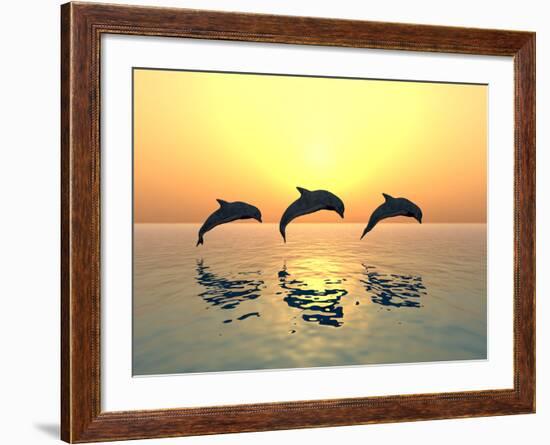 Jumping Dolphins-MIRO3D-Framed Photographic Print