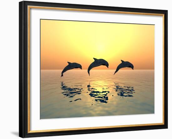 Jumping Dolphins-MIRO3D-Framed Photographic Print