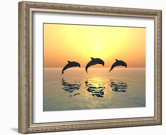 Jumping Dolphins-MIRO3D-Framed Photographic Print