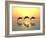 Jumping Dolphins-MIRO3D-Framed Photographic Print