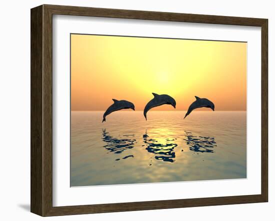 Jumping Dolphins-MIRO3D-Framed Photographic Print