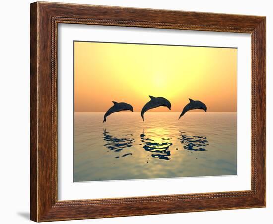 Jumping Dolphins-MIRO3D-Framed Photographic Print