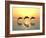 Jumping Dolphins-MIRO3D-Framed Photographic Print