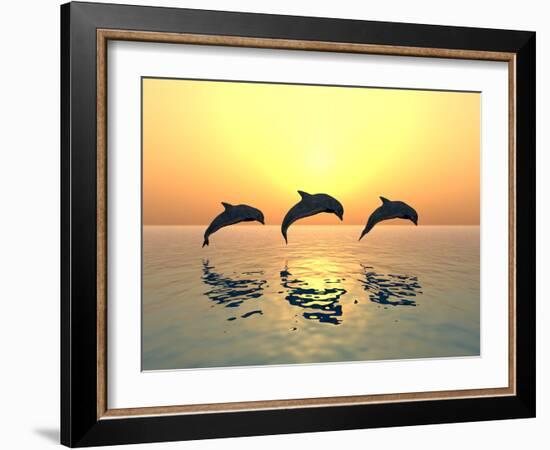 Jumping Dolphins-MIRO3D-Framed Photographic Print