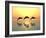 Jumping Dolphins-MIRO3D-Framed Photographic Print