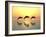 Jumping Dolphins-MIRO3D-Framed Photographic Print