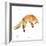 Jumping Fox-Katrina Pete-Framed Art Print