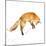 Jumping Fox-Katrina Pete-Mounted Art Print