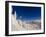 Jumping from Cliff on a Sunny Day at Whitefish Mountain Resort, Montana, Usa-Chuck Haney-Framed Photographic Print