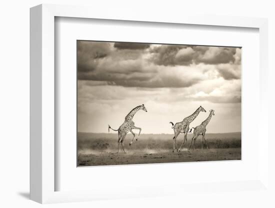 Jumping Giraffe-Ali Khataw-Framed Photographic Print