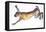 Jumping Hare-Lucy Willis-Framed Premier Image Canvas