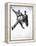 Jumping Jacks, Dean Martin, Jerry Lewis, 1952, Jumping-null-Framed Stretched Canvas