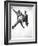 Jumping Jacks, Dean Martin, Jerry Lewis, 1952, Jumping-null-Framed Photo