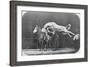 Jumping over Three Horses...Chestnut Horse Hornet-Eadweard Muybridge-Framed Giclee Print