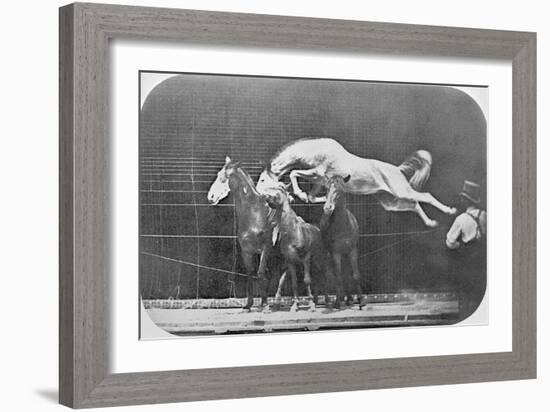 Jumping over Three Horses...Chestnut Horse Hornet-Eadweard Muybridge-Framed Giclee Print