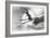 Jumping Skier 1930S-null-Framed Photographic Print