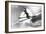 Jumping Skier 1930S-null-Framed Photographic Print