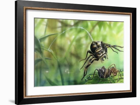 Jumping Spider (Salticidae) Pounces on Ant, Artwork by Lee Gibbons-null-Framed Giclee Print