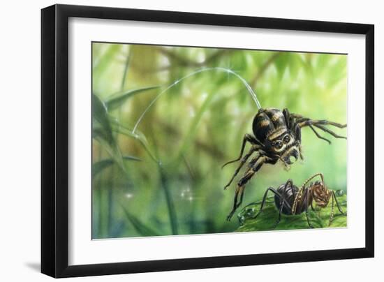 Jumping Spider (Salticidae) Pounces on Ant, Artwork by Lee Gibbons-null-Framed Giclee Print